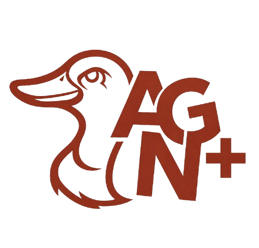 LOGO AGN